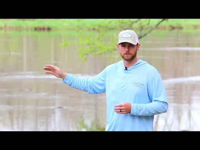 Fly Fishing tip of the day (South Holston River)