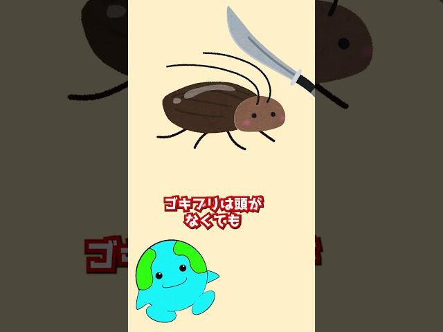 ゴキブリの生命力はなぜ強いのか？#生物 #動物 #shorts