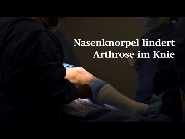 Nasenknorpel lindert Arthrose im Knie