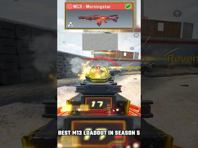 BEST M13 LOADOUT IN SEASON 5