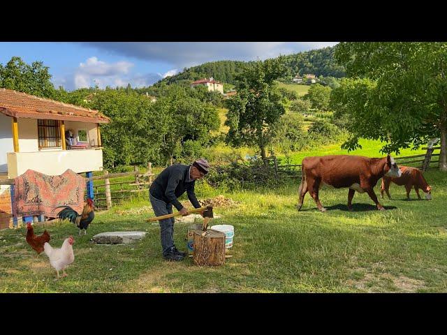 Village Life. Daily Life in Turkey Village. Village Documentary