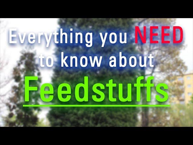 What are Feedstuffs? | How Do Feedstuffs Look? | How to Say Feedstuffs in English?