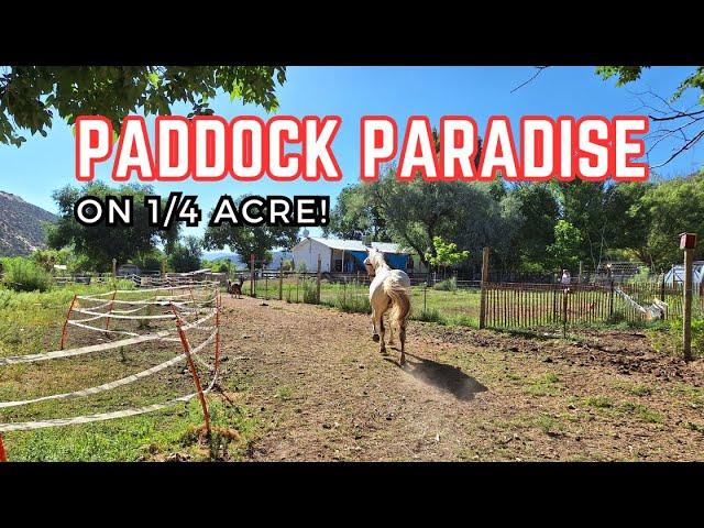 Creating a Paddock Paradise Horse Track System: Transform Your Small Acreage for Happier Horses!