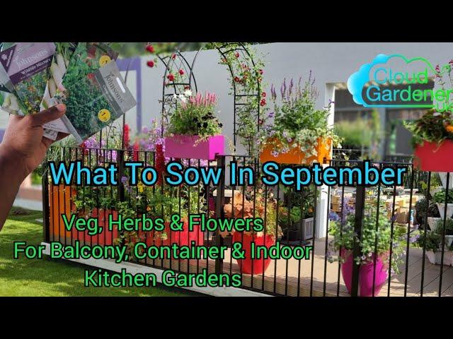 What To Sow In September. Herbs, Veg Flowers for Balcony, Container & Indoor Kitchen Gardens