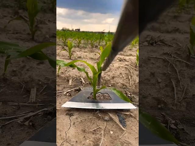 Amazing Farming Machine in Action  | JUST KD Agriculture | Part 32