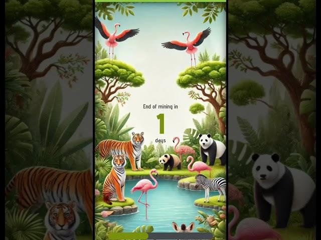 30th January 2025 Zoo  Gift Box I Zoo Airdrop I India Time Zone #airdrop #crypto #games