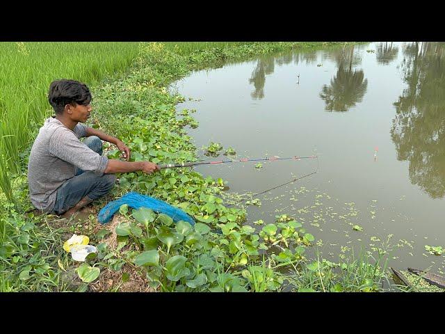 Hook Fishing Video ~ Traditional Hook Fishing  Village Daily Life (Part-475)