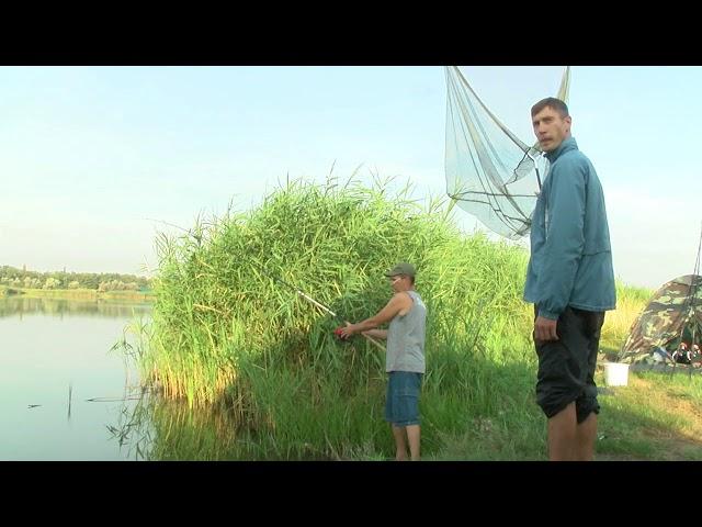 Флет Фидер Миргород - Начало - Рыбалка в Марьевке (Марьевское водохранилище)