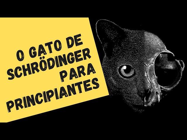 ENTENDA/NÃO ENTENDA O GATO DE SCHRÖDINGER (Física Quântica para principiantes - 8)