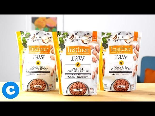 Instinct Raw Cat Food | Chewy