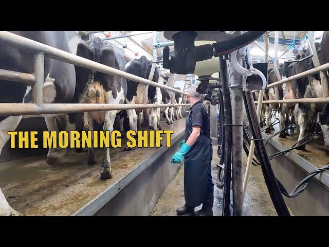 MY BUSY MORNING ROUTINE | DAIRY FARMING IRELAND