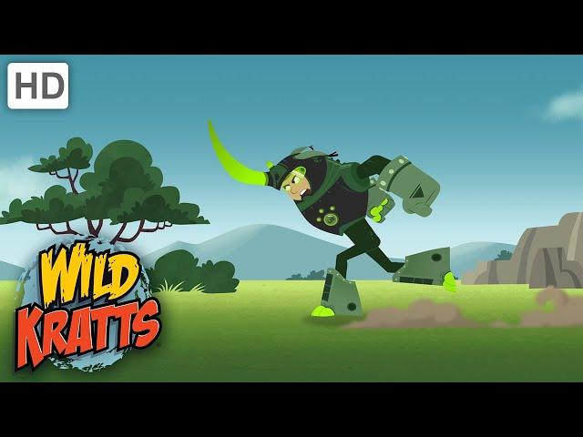 Wild Kratts | Let the Rhinos Roll! | Full Episode | Season 1