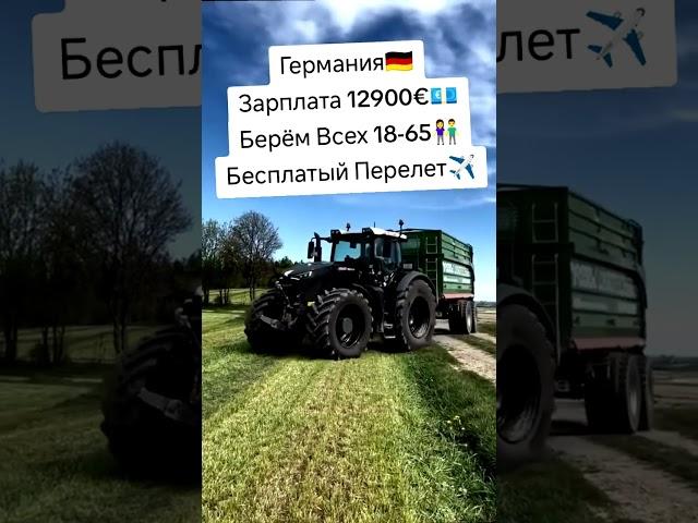 Работа в Европе #вакансии #работавевропе