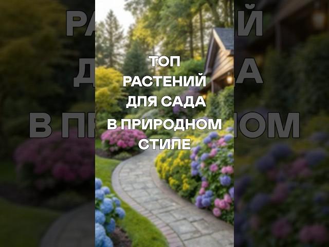 Модный Сад, а Стоит Копейки!