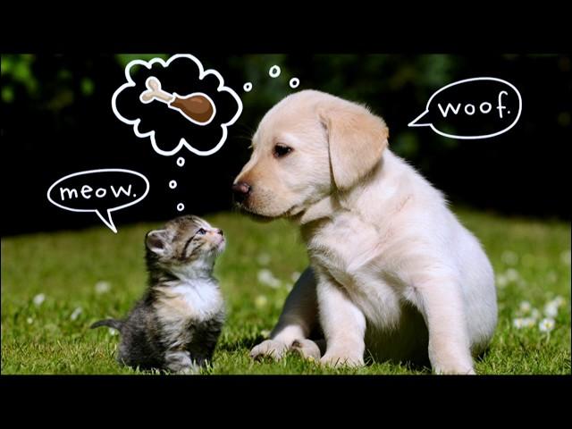 The Art of Communication: Decoding the Creative Relationship