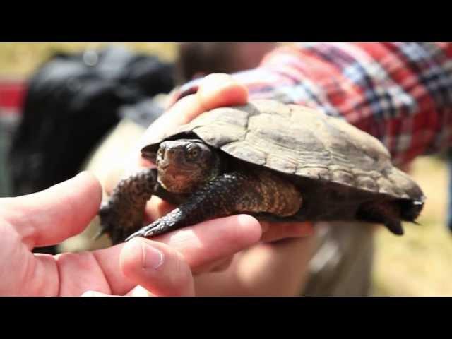 Wildlife Management - Careers in Action