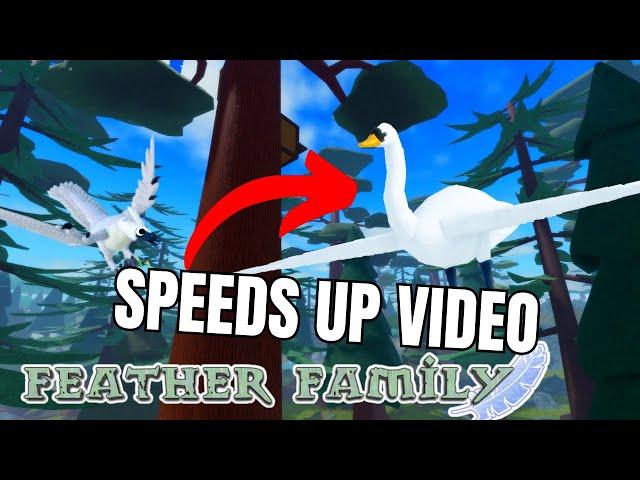 Feather Family but if i see a swan the video SPEEDS UP! 