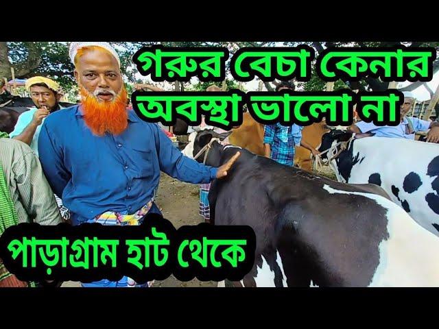 Paragram Hat?goru hat paragram/paragram gorur haat 2022/ajker paragaram hat/পাড়াগ্রাম গরুর হাট