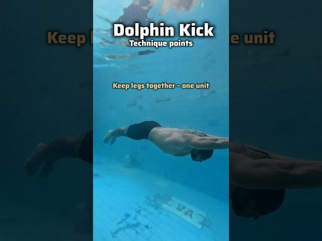 How to Swim with Dolphin Kick - Swimming Tips for Beginners  #swimming #swimmingtips