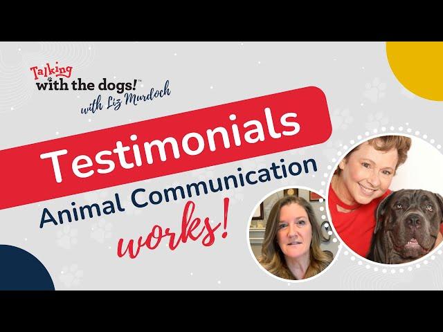Animal Communication Works! with Liz Murdoch - Testimonial - Beth Miller (Part 1)