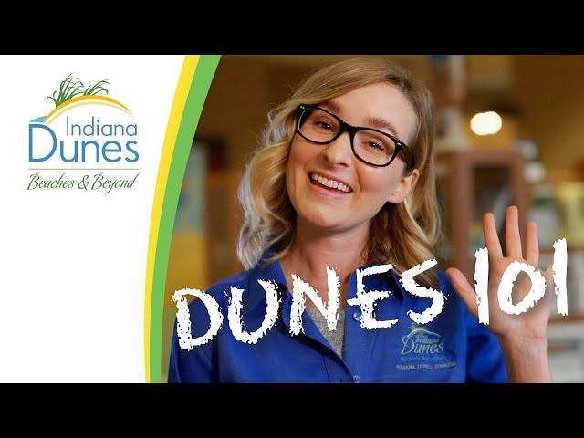 What to Do In the Indiana Dunes Area — Dunes 101: Things to Do | Indiana Dunes