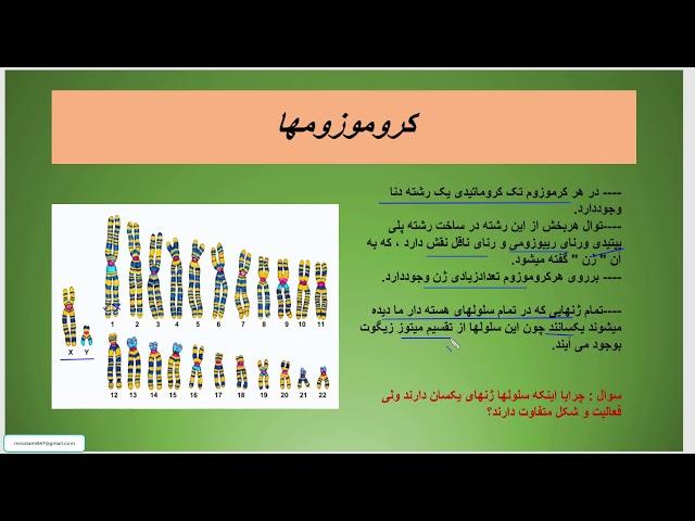 صفر تا صد زیست شناسی( ژنتیک : تنظیم بیان ژن )