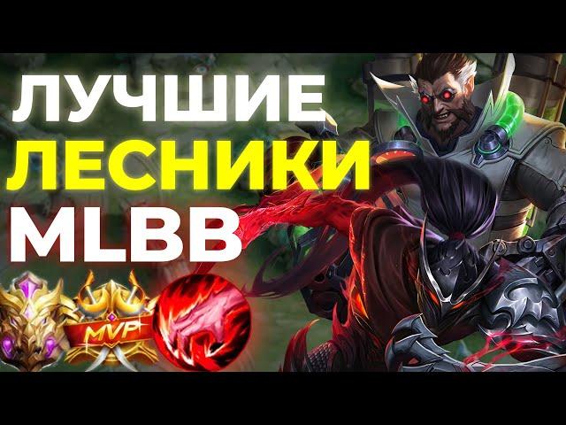 ЛУЧШИЕ ЛЕСНИКИ | МЕТА АВГУСТ 2024 MOBILE LEGENDS