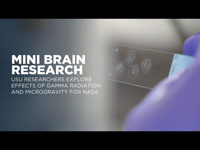 USU Researchers Explore Effects of Gamma Radiation and Microgravity for NASA