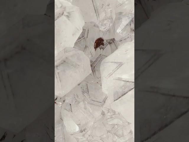 #micro  #crystals  among the #phantom  crystals