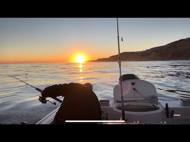 Pescando en palos verdes