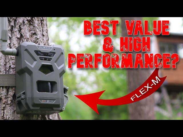 Spypoint FLEX-M Cellular Trail Camera: Best Value $79.99 Dual-Sim 28MP GPS Field Test Review