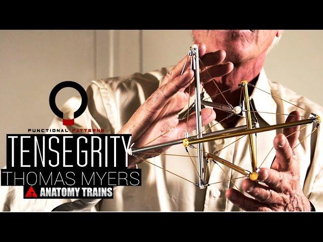 Thomas Myers - Tensegrity Applied to Human Biomechanics