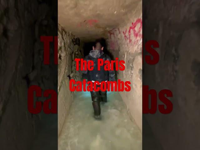 Exploring the Paris catacombs (again) #exploring  #urbex #explore  #abandoned  #shorts