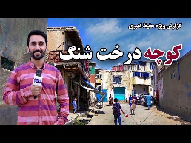 Darakht Sheng street in Hafiz Amiri Report / کوچه درخت شنگ در گزارش حفیظ امیری