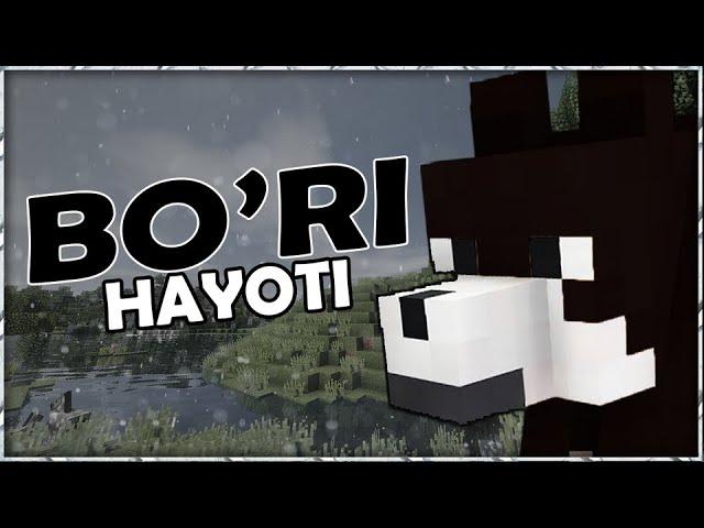 BO'RI HAYOTI | MINECRAFT