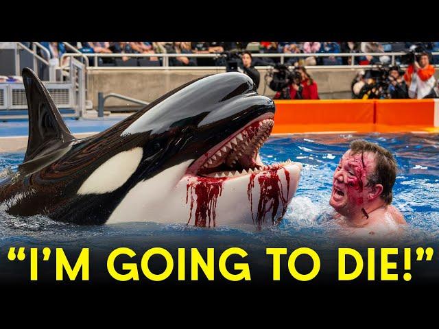 The HORRIFYING Last Moments of Orca Trainer Alexis Martinez