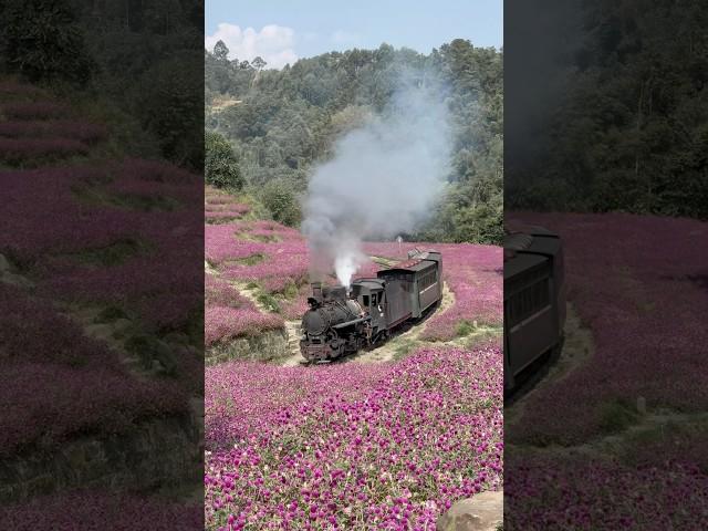  China | Last steam train: the best thing, I was the only passenger! What an experience #fyp