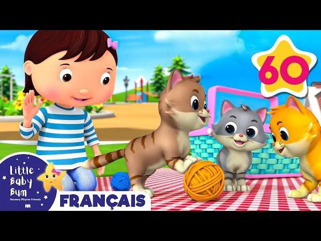 Petits animaux de compagnie | Comptines et Chansons pour Bébés | Little Baby Bum en Français