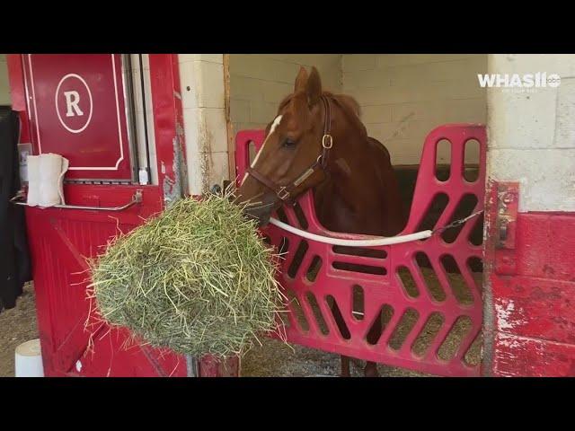 Kentucky Derby champion Rich Strike takes a quick bite, gives a hello