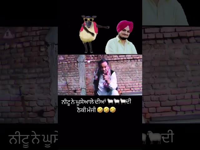 Neetu baaz maan /neetu sheran vala #comedy #music #funny #comedyvideo #video #viralvideo #viral #fun