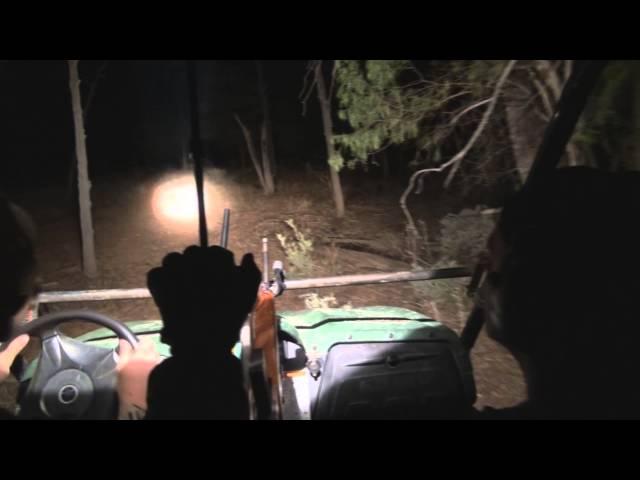 Mini 14 - Shooting Foxes, Pigs & Rabbits