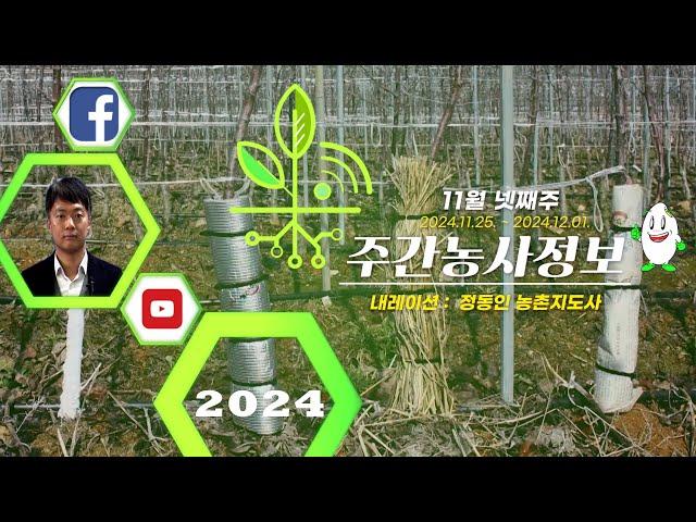 [ 주간농사정보 ] 11월 넷째주 (2024. 11. 25. ~ 12. 01.)