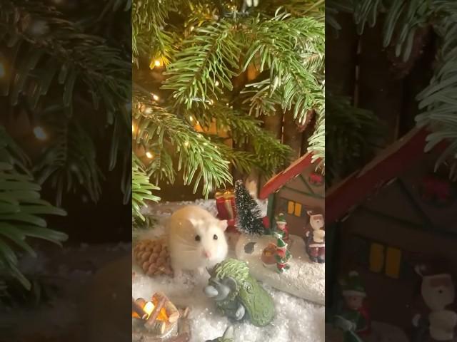 Mon Hamster au village de Noel !! #animals #cute #disney #christmas