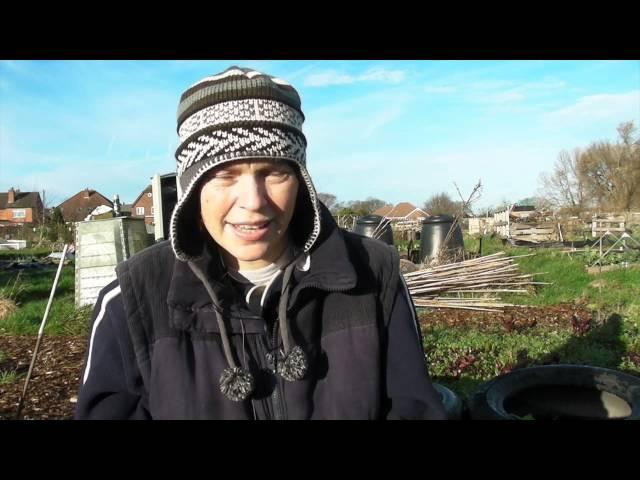 What do you want to see me grow? - Claire's Allotment part 220