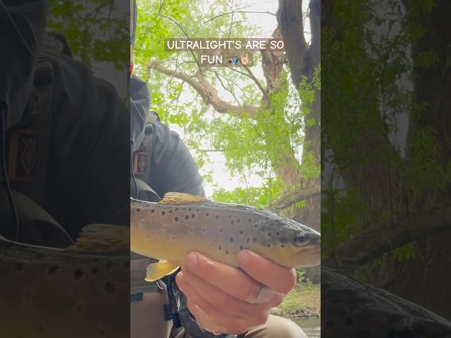 I ABSOLUTELY LOVE FISHING WITH ULTRA LIGHT SET UPS!!! #fishing #troutfishing #riverfishing