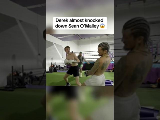 Derek almost knocked down Sean O'Malley 