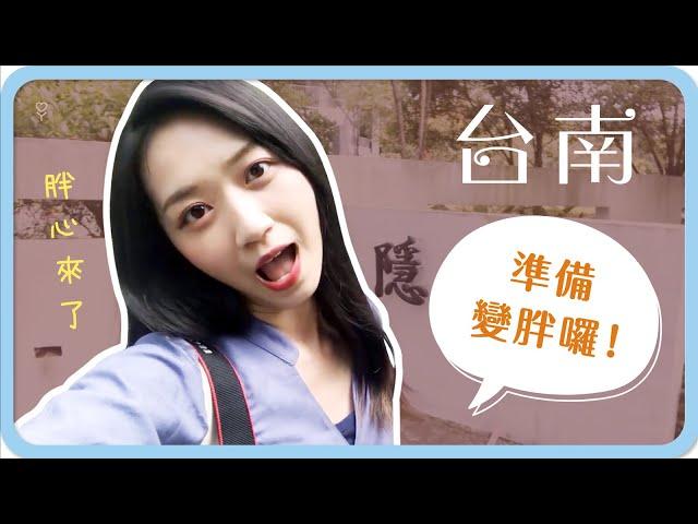  台南VLOG！變胖啦！爆吃一波台南！吃相還超醜｜阿心