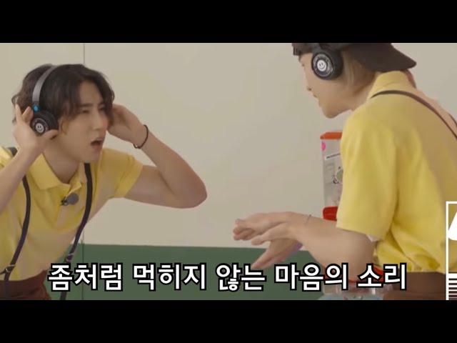 [스트레이키즈] 안고요한 고요속의 외침 Cut