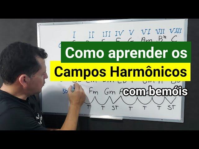 Campos Harmônicos com bemóis - a ordem certa de aprender