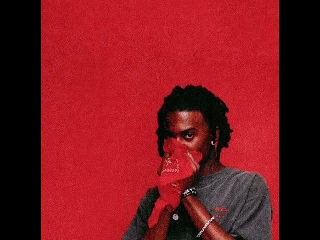 Whole Lotta Red - Playboi Carti (WLR V1)